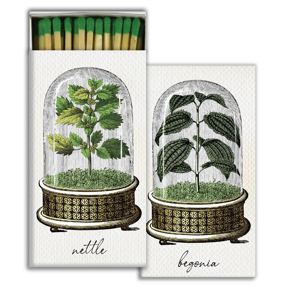Thumbnail: Matches - Various Styles
