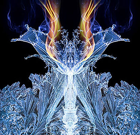 jialba - Tetrameria 665 - 2014