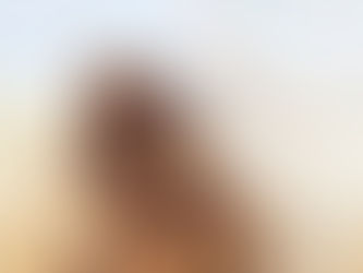 Easy Homemade Granola Bars