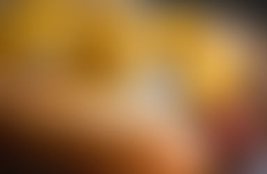 Coney Island Dog with Mustard