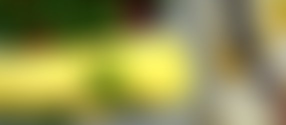 The perfect omelette