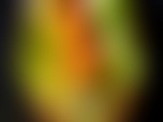 Buffalo Chicken Meatball Sub