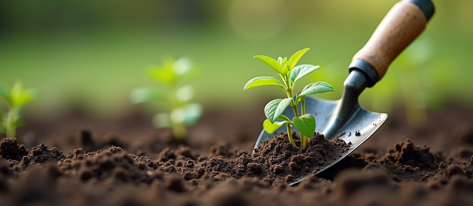 Five Must-Have Tools for Every Gardener