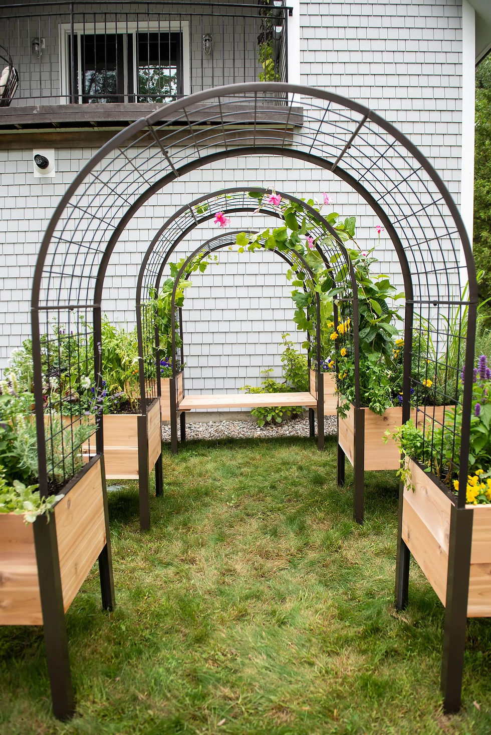 Arch trellis attached to raised beds