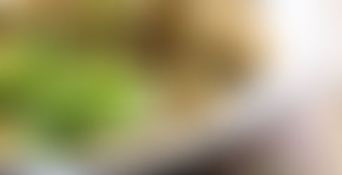 Fresh Herb, Parmesan & Olive Pasta with Pistachio Crumbs