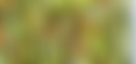 Garlic Parmesan Sugar Snap Peas