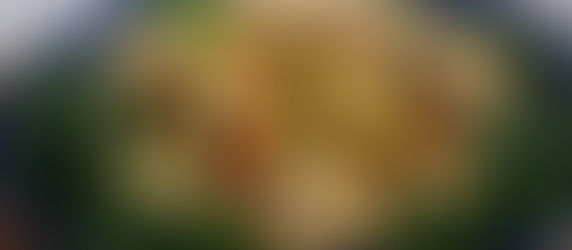 Oven dried tomato, spring leek & goat cheese tart