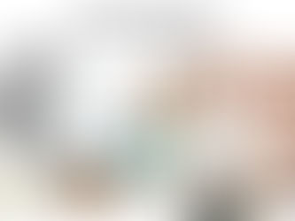 As an illustrator, should I only have one main style?