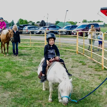 Horse ride