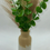 Thumbnail: Vase filled with green leaves and tan plants against white background.