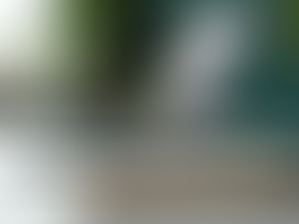 Jak získat daňové poradenství od profesionálů v Česku