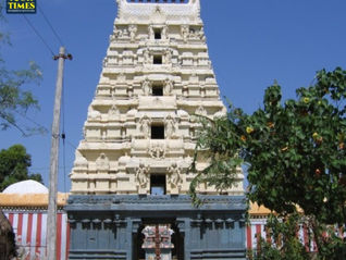 Cream Hindu temple gopuram with blue base under clear sky, trees in front, and a Tour Times watermark. Thirukoodalur Perumal Temple