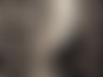 LaLa in the reading room.