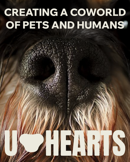 Save Pets of Ukraine becomes U-Hearts