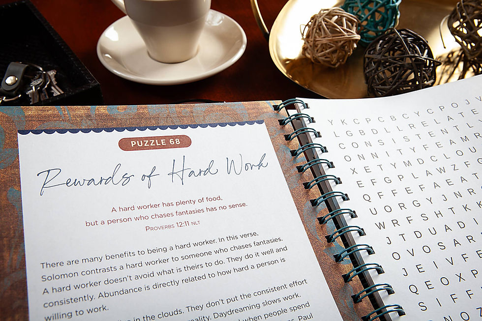 Thumbnail: Bible Word Search Devotional (Proverbs)