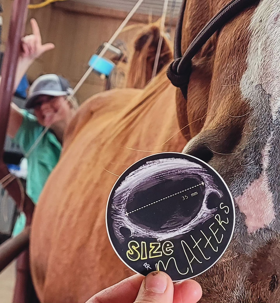 Thumbnail: Follicle Size Matters Sticker