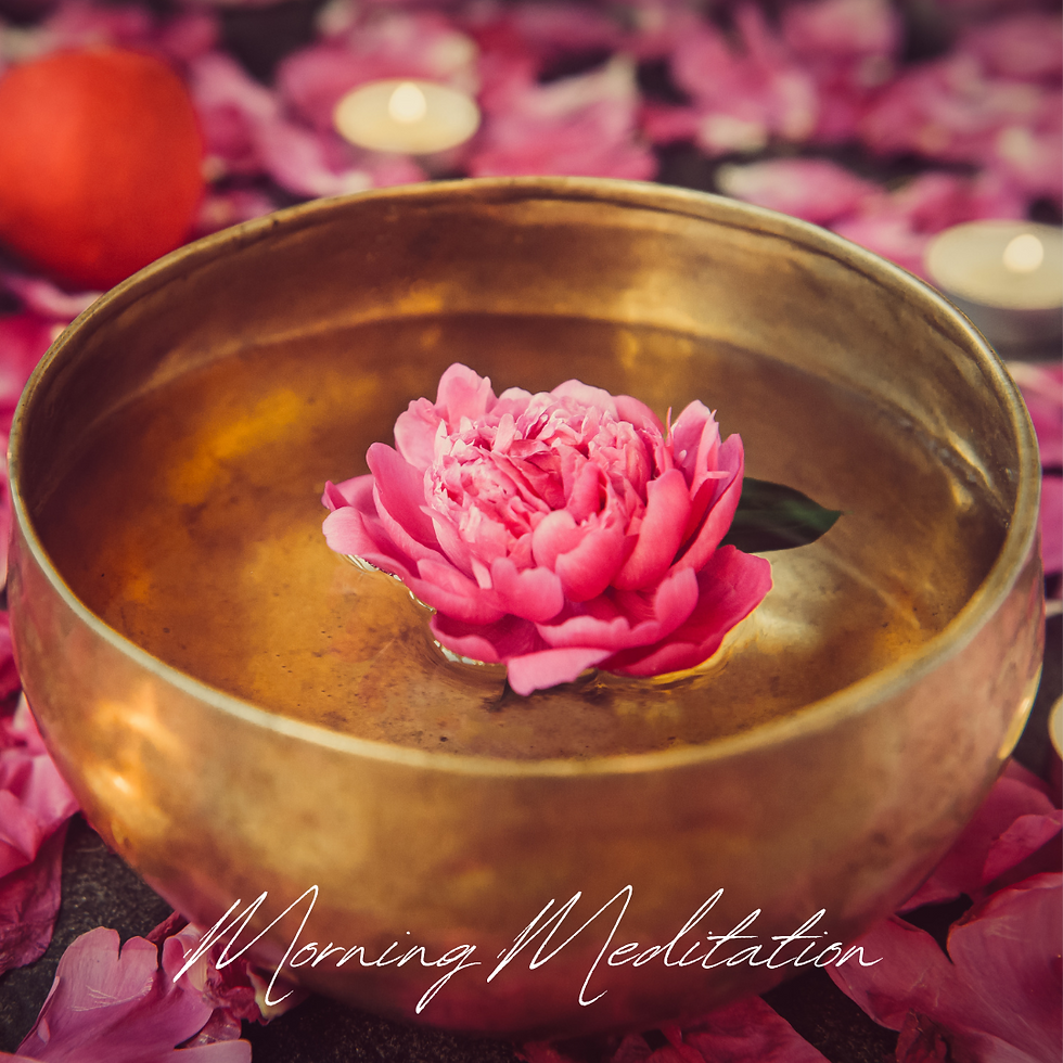 Morning Meditation