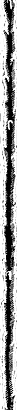 stick (002).png