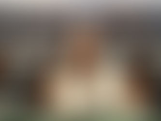 En el Senado de la República hemos aprobado parte fundamental de la miscelánea fiscal para el año 2026: Senadora Vero Diaz