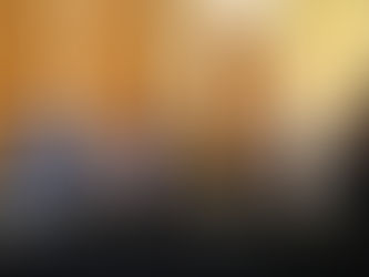 La importancia del acceso a la información en la fiscalización y en el control de la corrupción