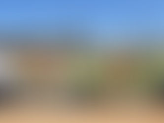 Niñas y niños de Casa Cuna "Plácido Domingo" visitan la obra de la nueva Casa Cuna "Semillitas"