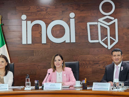 Negar información crea incertidumbre jurídica en la sociedad: Julieta del Río