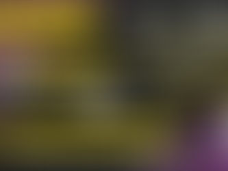 Arranca convocatoria del Concurso Nacional de Periodismo de Investigación: Julieta del Río