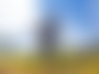 Realiza servicios públicos de Guadalupe mantenimiento a luminarias, camellones y parques