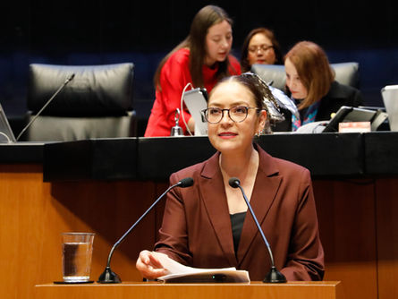 Senadora Vero Díaz destaca recuperación del espíritu social de la Constitución con la Cuarta Transformación