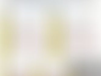 AVISO IMPORTANTE INE-IEEZ