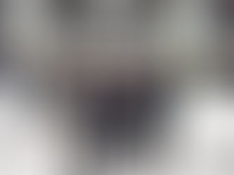 Actualización de plataformas y ciberseguridad, vital para el INAI: Julieta del Río