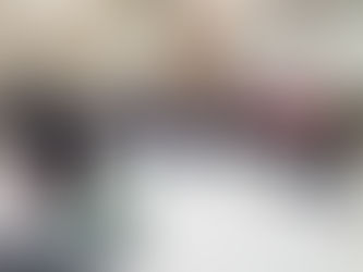 PRI de Zacatecas está a favor de garantizar los programas sociales