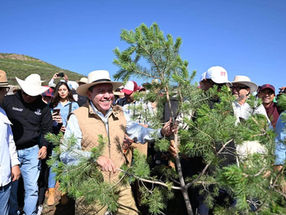 Se suma Gobernador David Monreal a la Jornada Nacional de Reforestación 2026; siembran más de 18 mil árboles en Zacatecas
