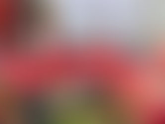 Consejo Político Estatal del PRI aprueba renovación de Comités por consulta a la base