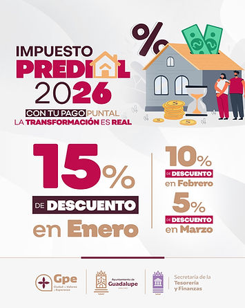 WhatsApp Image 2026-01-01 at 10.49.46 a.m..jpeg