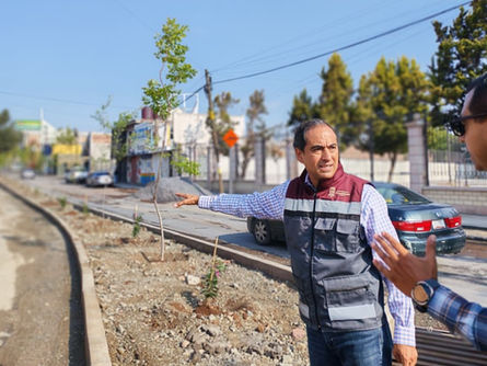 Arranca Pepe Saldívar programa de reforestación en espacios públicos de Guadalupe