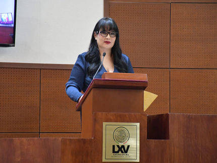 Llama Renata Ávila a tipificar en Zacatecas el Suicidio Feminicida