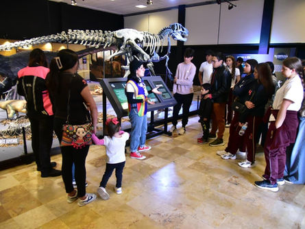 Programa “Abre tu Mente” fortalece el bienestar juvenil en siete municipios de Zacatecas