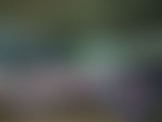 En convivencia con cientos de docentes reconoce Pepe Saldívar al magisterio guadalupense