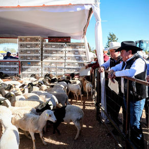 Entrega Gobernador David Monreal Ávila maquinaria y apoyos para el fortalecimiento del campo zacatecano