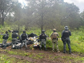 Desmantelan Fuerzas de Seguridad campamento utilizado por grupo delictivo; aseguran vehículo, cartuchos y probable droga