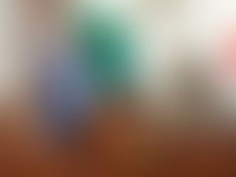 Reformas a la Ley Orgánica del Poder Legislativo