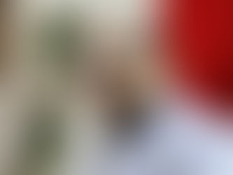 Pide González Romo comparecencia del fiscal especializado en combate a la corrupción "que explique la impunidad de la que goza el ex gobernador del PRI Miguel Alonso Reyes"