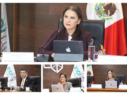 Procesos de licitaciones son públicos: Julieta Del Río