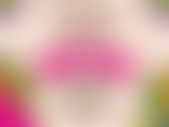 Celebrará Gobierno de Zacatecas Verbena Familiar Revolucionaria el próximo 20 de noviembre