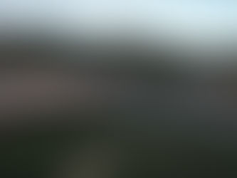 Urge ampliar Áreas Naturales Protegidas en Zacatecas: investigador Santiago Valle
