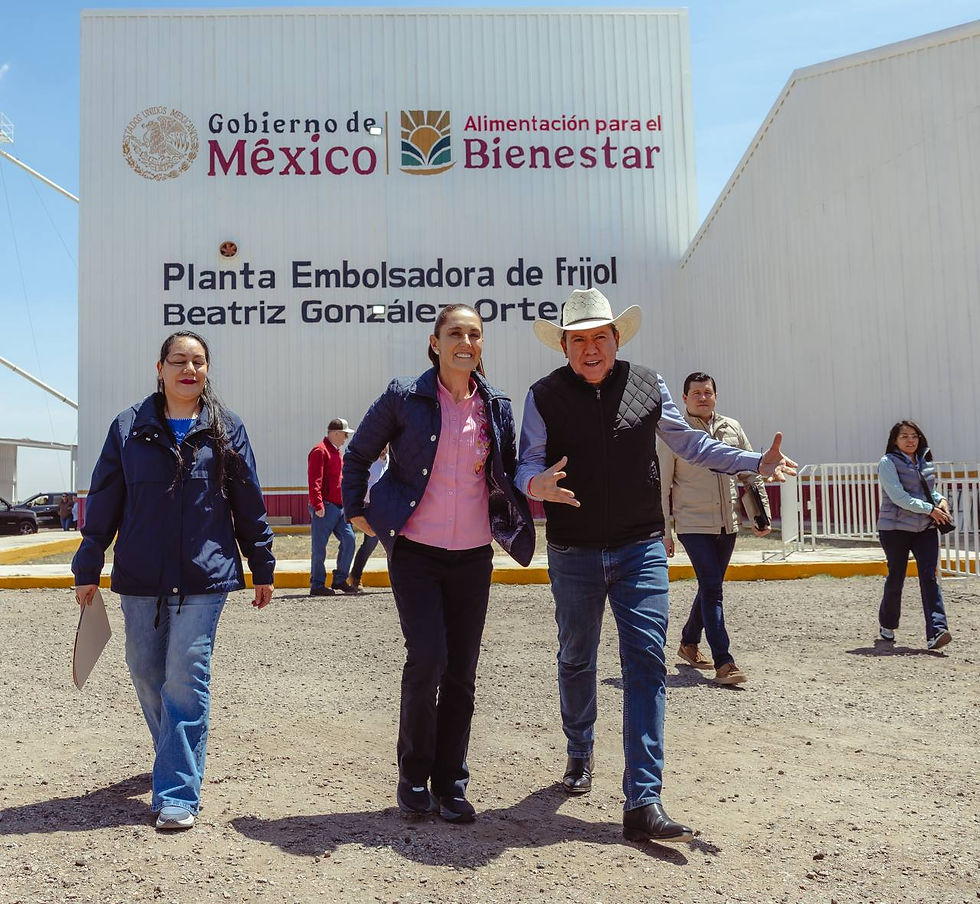 Inaugura Presidenta Claudia Sheinbaum, cribadora y embolsadora de frijol en Sombrerete y anuncia ampliación de acopio 