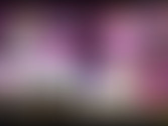 El INAI sigue trabajando; sus atribuciones no son transferibles: Julieta del Río