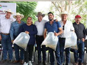 Anuncia Gobernador David Monreal apoyo peso a peso para pescadores y cierra ciclo con 4 millones 350 mil crías de tilapia