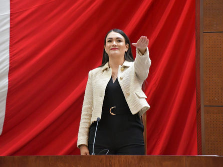 Titular de la Secretaría de Desarrollo Social comparece ante el Pleno